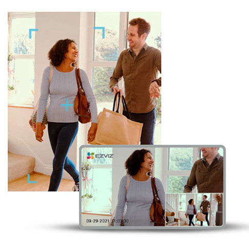 Detección de mascotas